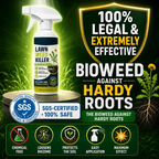 Easy and stress-free weeding in the garden] Herbicide for domestic use